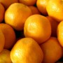 The USDA has slightly raised its estimate for Florida orange production.