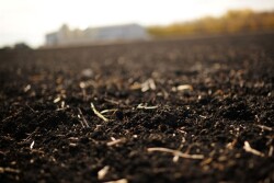 RedRiverValleySoil