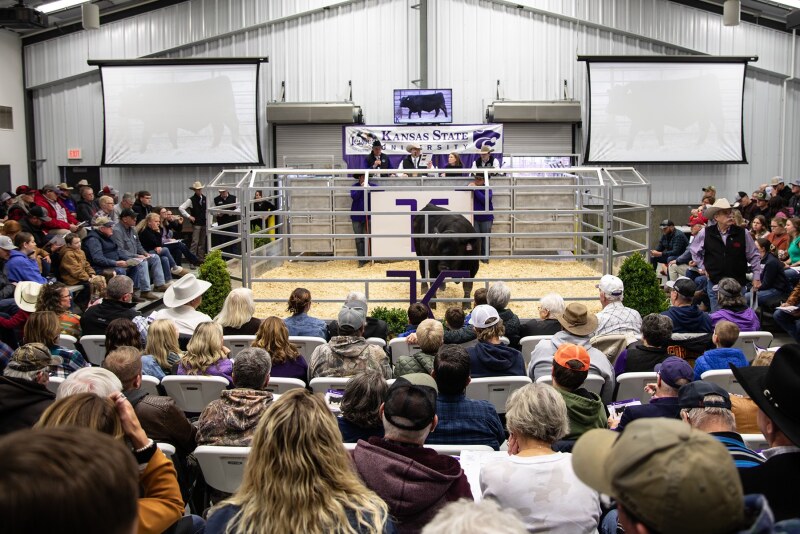 How Clear Objectives Lead to Smarter Bull Selection - Drovers