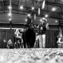 American Royal