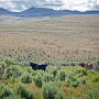 Maggie_Creek_Ranch_Nevada