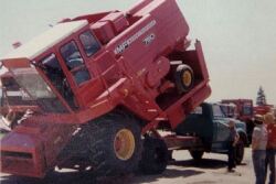 MF-1