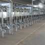 Nedap Livestock Management