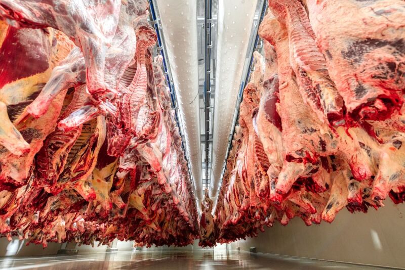 Beef Carcass