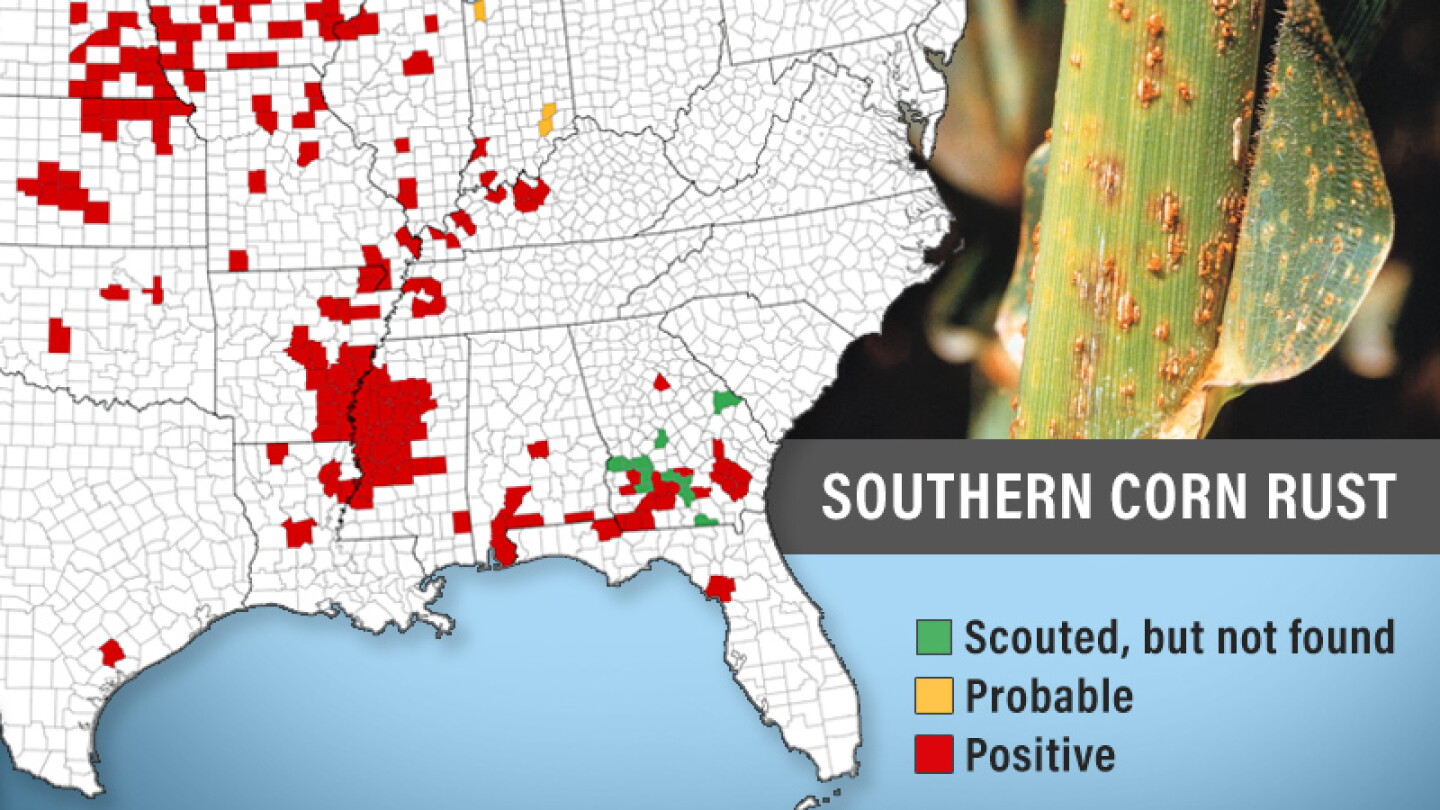 Corn Ruste Southern Rust: Coming to a Field Near You? - AgWeb