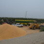 BT_High_Moisture_Corn_Silage