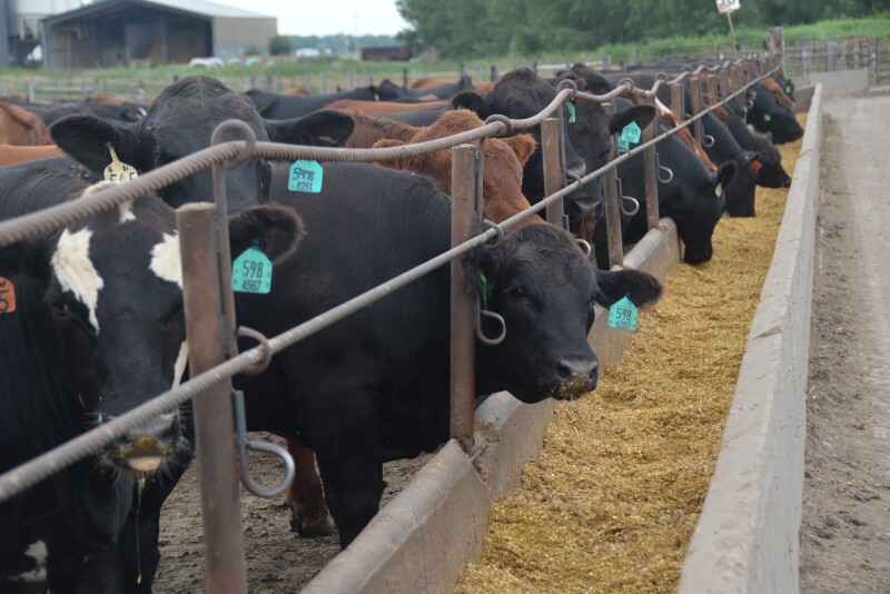 Beef production is on pace for a 3% increase.