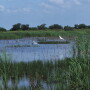 Your land has value beyond crop and livestock production.