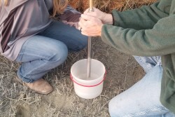 Forage analysis