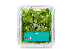 Lēf Farms describes Crisp as an alternative to iceberg and romaine lettuce, with a “robust, crispy bite with a fresh, bright flavor,” and ideal for a sandwich addition or a salad foundation.