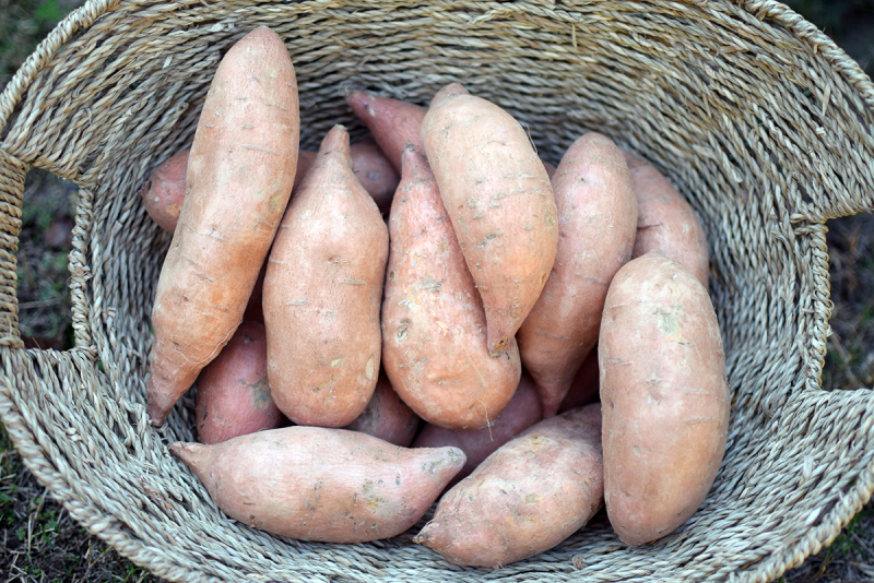 sweetpotatoes