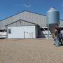 Pig Farmers walking by barn