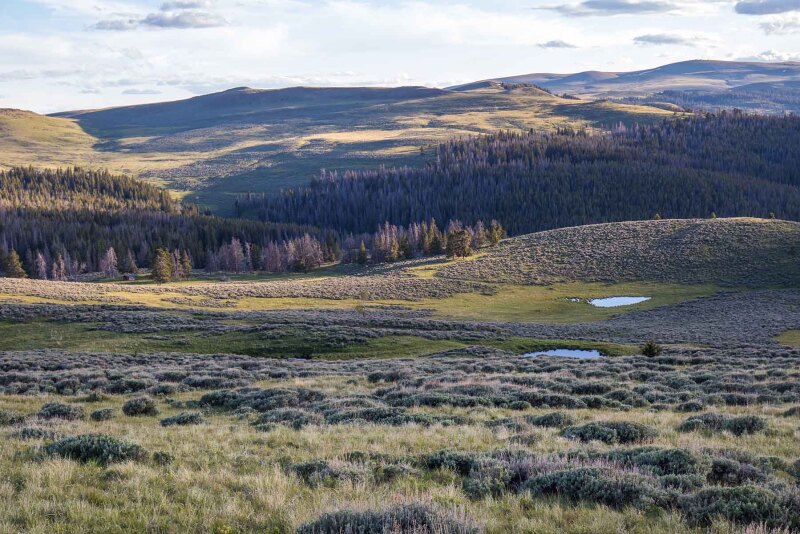 Blacktail Mountain Ranch, Montana
