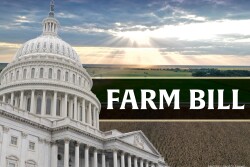 Farm Bill Capitol Hill Washington DC Government Legislation - Lindsey Pound
