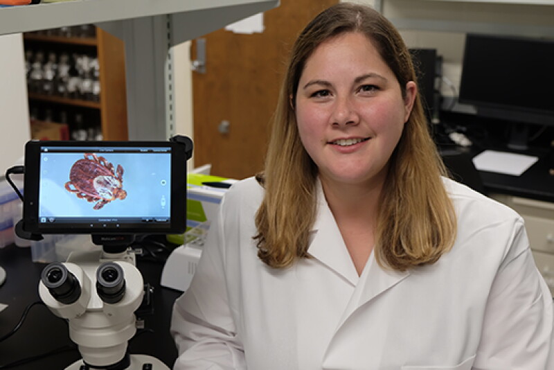 Kathryn Reif, assistant professor in diagnostic medicine and pathobiology at the Kansas State University College of Veterinary Medicine, is leading a project that focuses on optimizing antimicrobial use to control active infection of the hemoparasitic pathogen, Anaplasma marginale, the causative agent of bovine anaplasmosis.