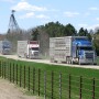 Cattle Trucks