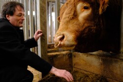 Professor Rainer Roehe says the study could improve yields as well as cattle health.