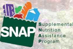 SNAP shopper behavior changed since emergency funding ended.
