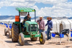 Farm employees are a critical piece of our operation and keeping them safe should be every farm’s top priority. However, accidents can happen in the blink of an eye, especially when large equipment is involved. 