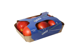 Jazz apple