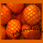 netted bag of mandarins illustration and photo