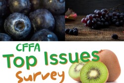 CFFA Top Issues Survey
