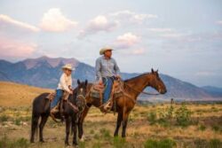 In Colorado, the average reported income from adding agritourism is $36,000 per year.