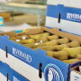 Rivermaid Trading Co. will have “a nice crop” of California golden bosc pears, says Kyle Persky, sales manager. Availability should last through mid-October.