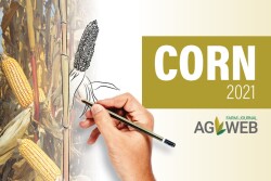 Corn 2021 Outlook 