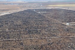 BT_Feedlot_Cattle_Airplane