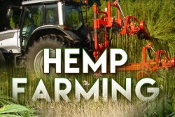For hemp growers, having hemp included in the farm bill would remove the stigma surrounding hemp production today.