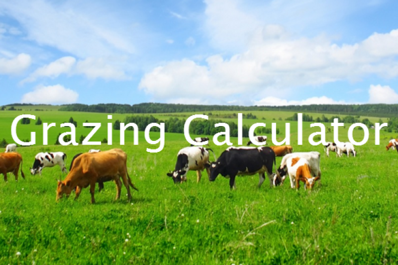 Grazing_Calculator