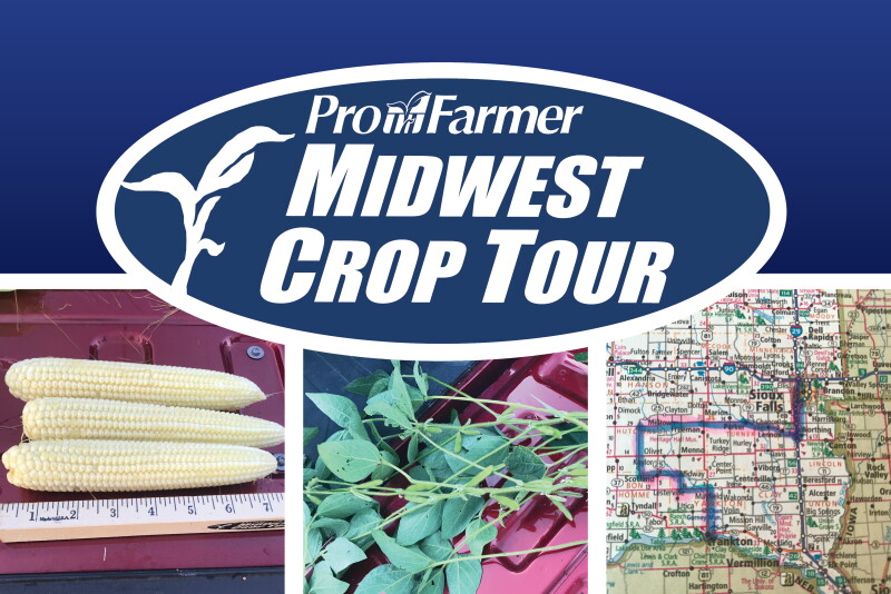 Iowa's corn yields towered over neighboring states in the 2019 Pro Farmer Midwest Crop Tour.