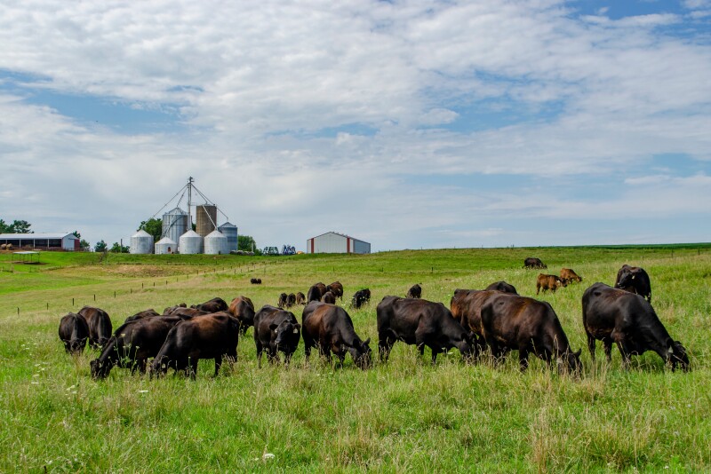 Euken-Myers farm, Lewis, Iowa