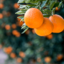 6E5590D6-A250-4B3E-A719E19CEF386813.png