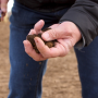 Domex Superfresh Growers' chief horticulturist Dave Gleason discusses the importance of soil health in the latest Orchard Update.