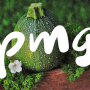 PMG_top20_118-header.png