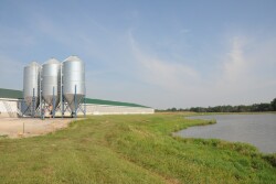 States are passing legislation around factory farming. John gives his thoughts on if the recently passed pieces of legislation are justified.