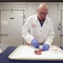 Meat_Scientist