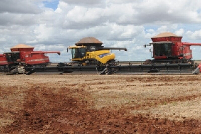 Brazil soybean harvest
