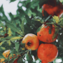 46A69355-68D8-4DA0-B0DE2605CCAAF82A.png