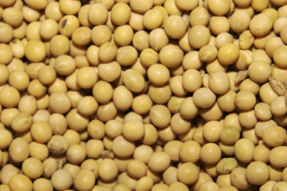 Soybeans
