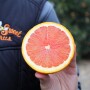 cara cara orange