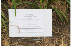 Cover crops