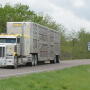 The Transporting Livestock Across America Safely Act has been reintroduced by a bipartisan group of Senators and could provide some fixes to hours of service requirements for livestock haulers. 
