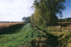 Farm Regulations