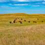 Nebraska Sandhills