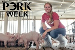 female pig farmer with baby pigs