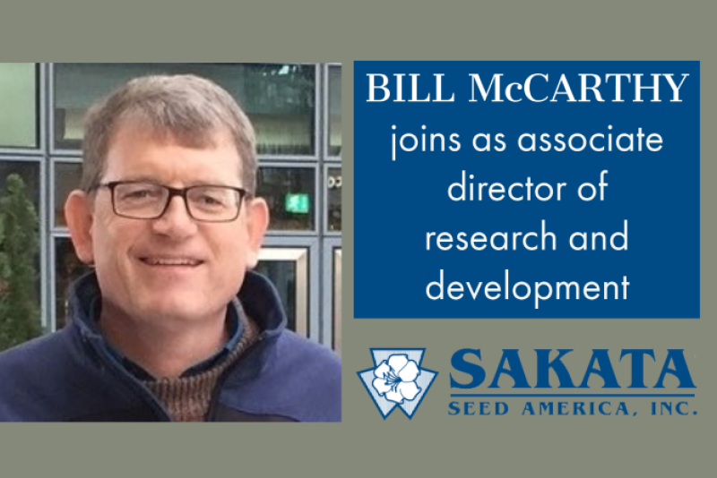 Bill McCarthy