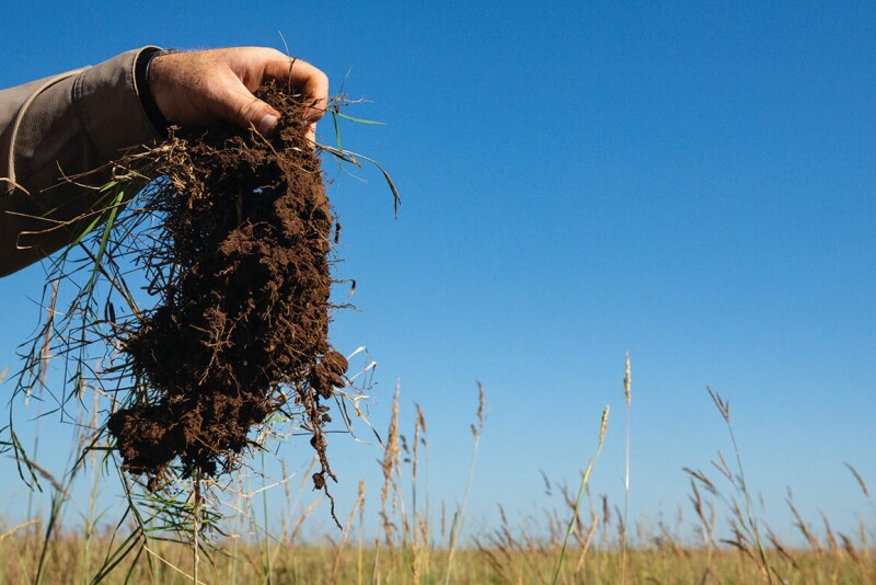 Soil.2024-02-12_18-14-20-2.jpg